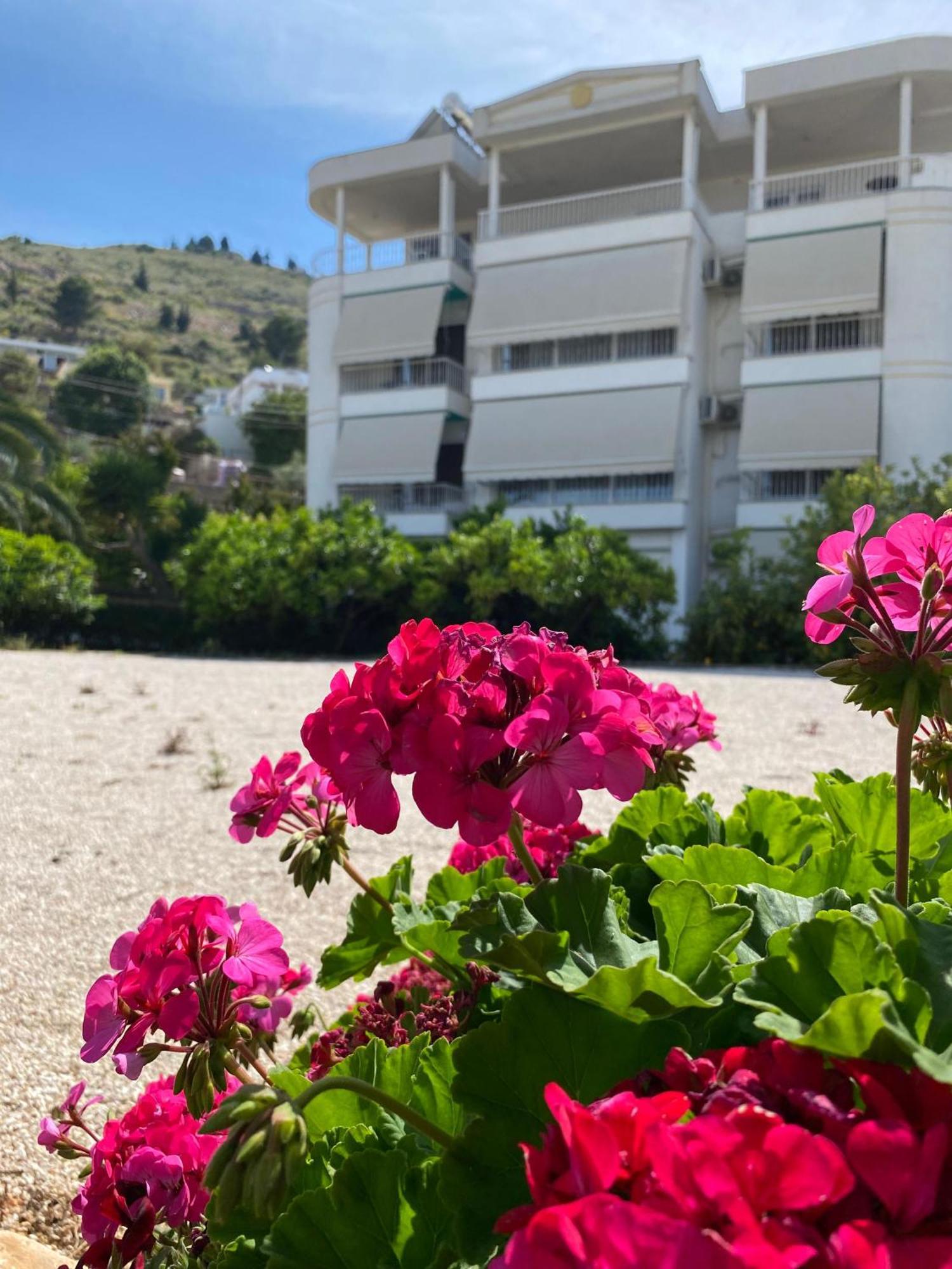 Vila Marjana Sarandë Exteriör bild
